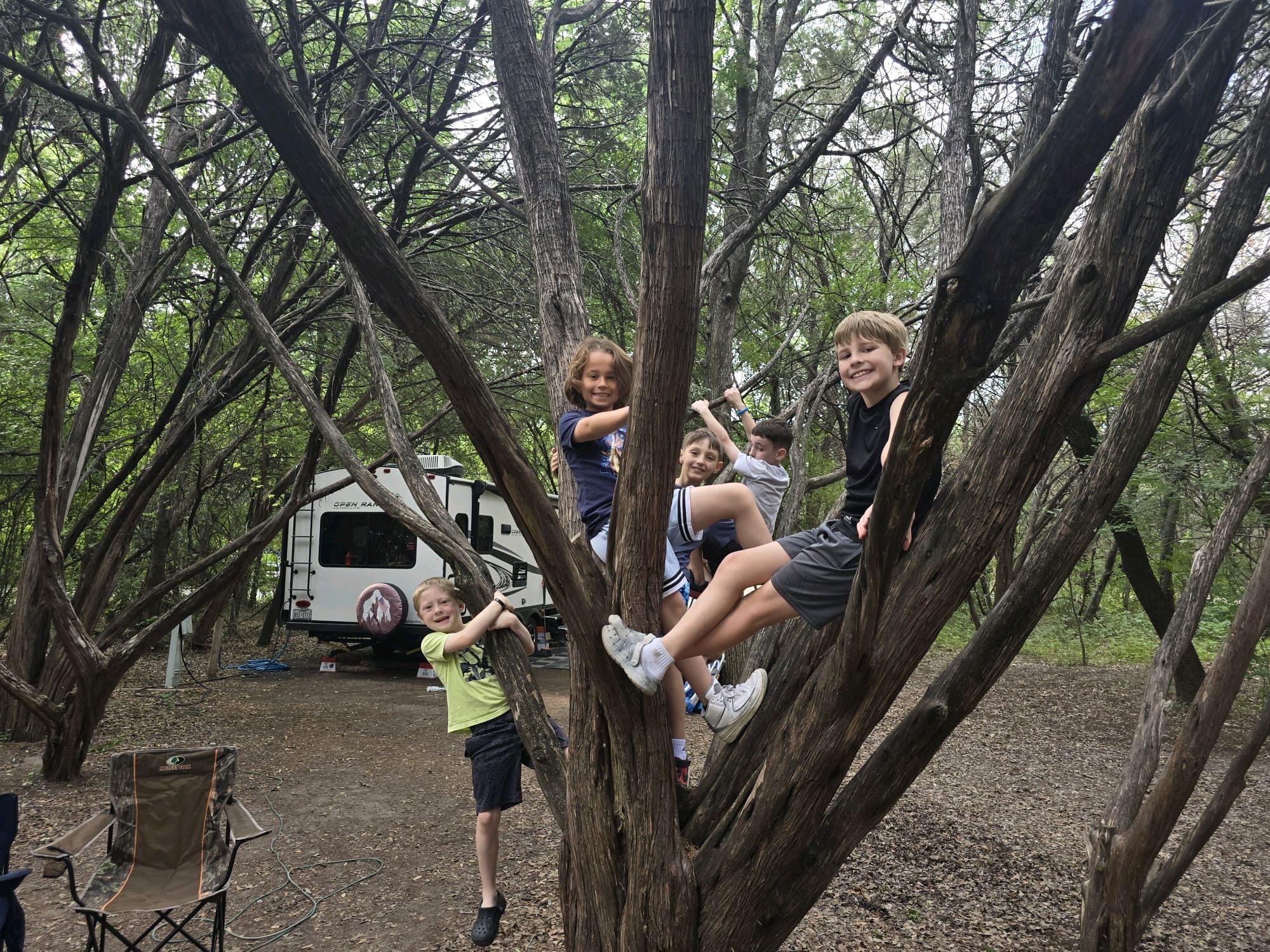 Boys climbing trees at campsite